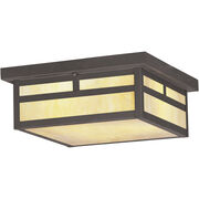 Outdoor Ceiling Lights