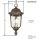 Havenwood 3 Light 9.5 inch Tavira Bronze And Alder Silver Outdoor Hanging Light, The Great Outdoors