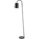 Polly 65 inch 60.00 watt Black Floor Lamp Portable Light