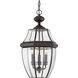 Newbury 3 Light 13 inch Medici Bronze Outdoor Hanging Lantern