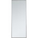 Monet 60 X 24 inch Silver Wall Mirror