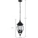 Central Park 3 Light 7 inch Textured Black Outdoor Hanging Lantern