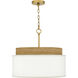 Malia 4 Light 20 inch Brushed Gold Pendant Ceiling Light