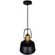 Elisa 1 Light 9 inch Black Down Pendant Ceiling Light