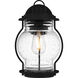 Luther Outdoor Wall Lantern, Medium