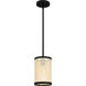 Syrah 1 Light 6 inch Matte Black Mini Pendant Ceiling Light