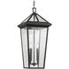 Regence 2 Light 11.5 inch Olde Bronze Outdoor Hanging Pendant
