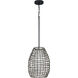 Pawley 1 Light 12 inch Matte Black Outdoor Pendant