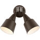Flood Light 2 Light 12.5 inch Antique Bronze Outdoor Flood Light, with Photo and Motion Sensor