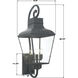 Dumont 4 Light 38.75 inch Graphite Outdoor Sconce