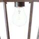 New Orleans 1 Light 17.75 inch Burled Walnut Exterior Wall Mount