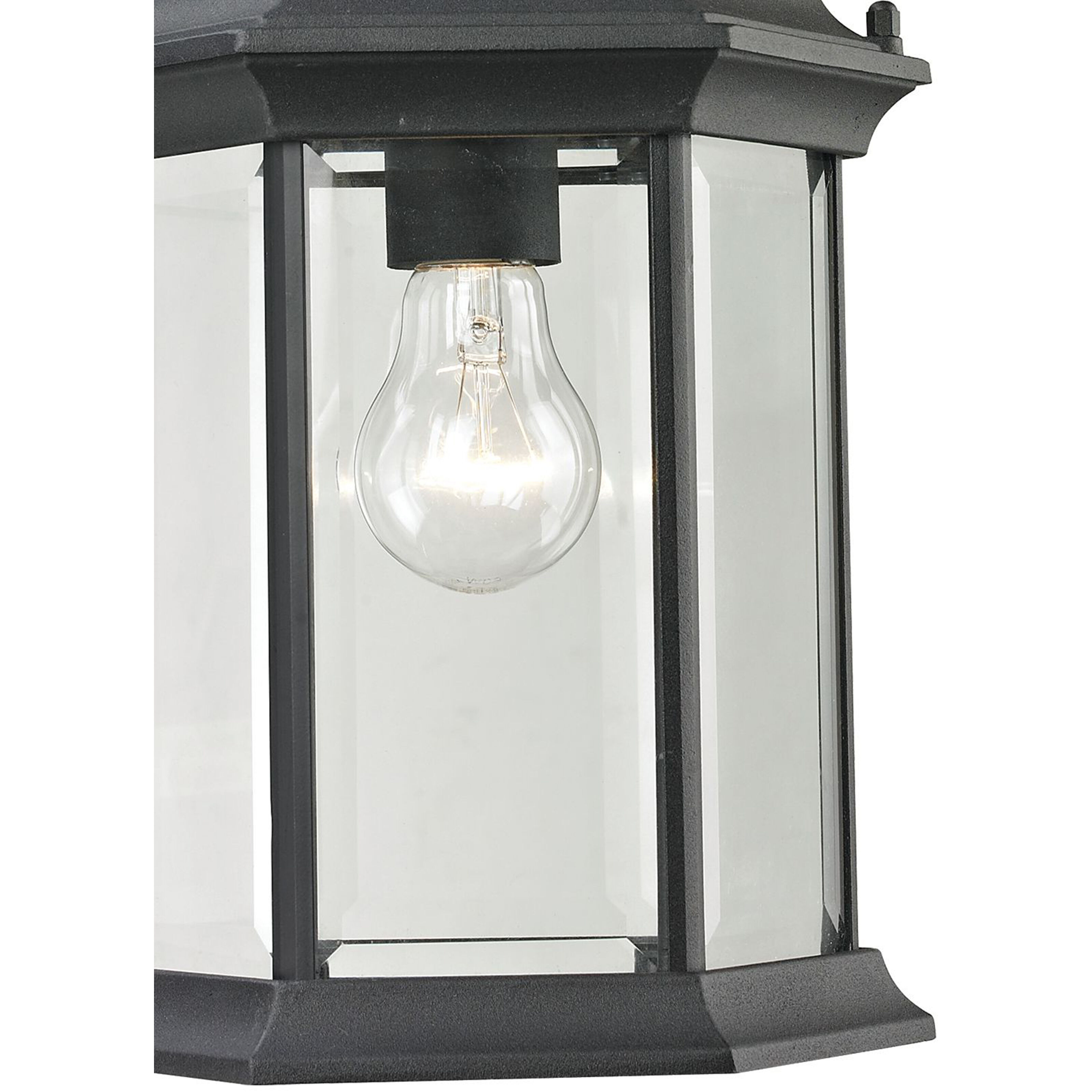 Spring Lake 1 Light 8 inch Matte Textured Black Outdoor Pendant