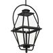 Bradshaw 1 Light 12 inch Textured Black Outdoor Hanging Lantern, Design Series