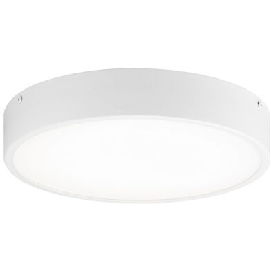 Plato 1 Light 11.00 inch Flush Mount