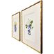 Blue and White Blue and Multi and Red and Yellow Framed Art