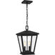 Joffrey 2 Light 10.5 inch Matte Black Outdoor Hanging Lantern, Large