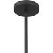 Coralyn 1 Light 13.25 inch Dark Matte Black Pendant Ceiling Light