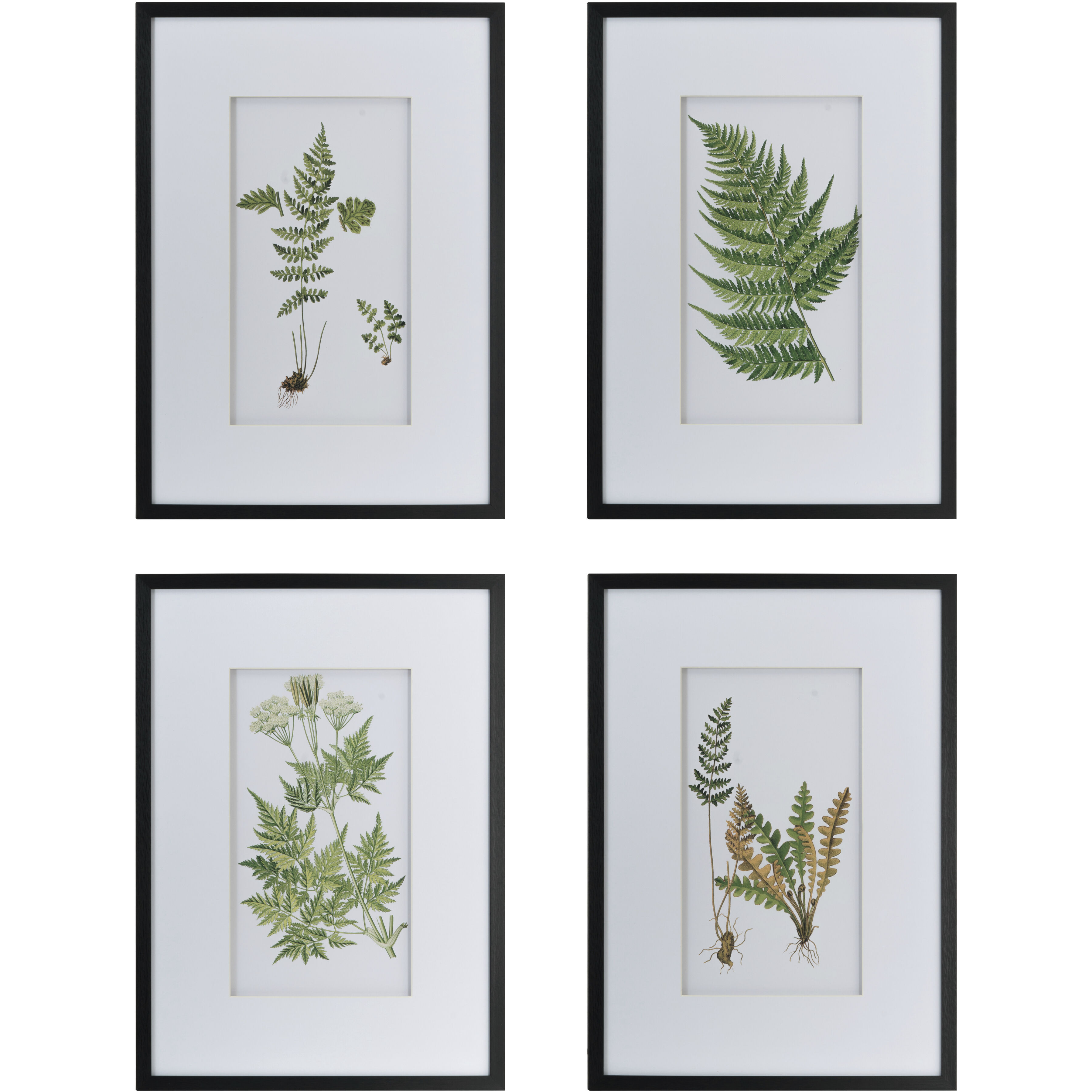 Anita Black/White Wall Art