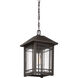 Cedar Point 1 Light 10 inch Palladian Bronze Outdoor Hanging Lantern