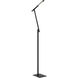Task Portables 55.5 inch 8.00 watt Anodized Brushed Coal Floor Lamp Portable Light