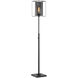 Stein 66.5 inch 60.00 watt Black Floor Lamp Portable Light