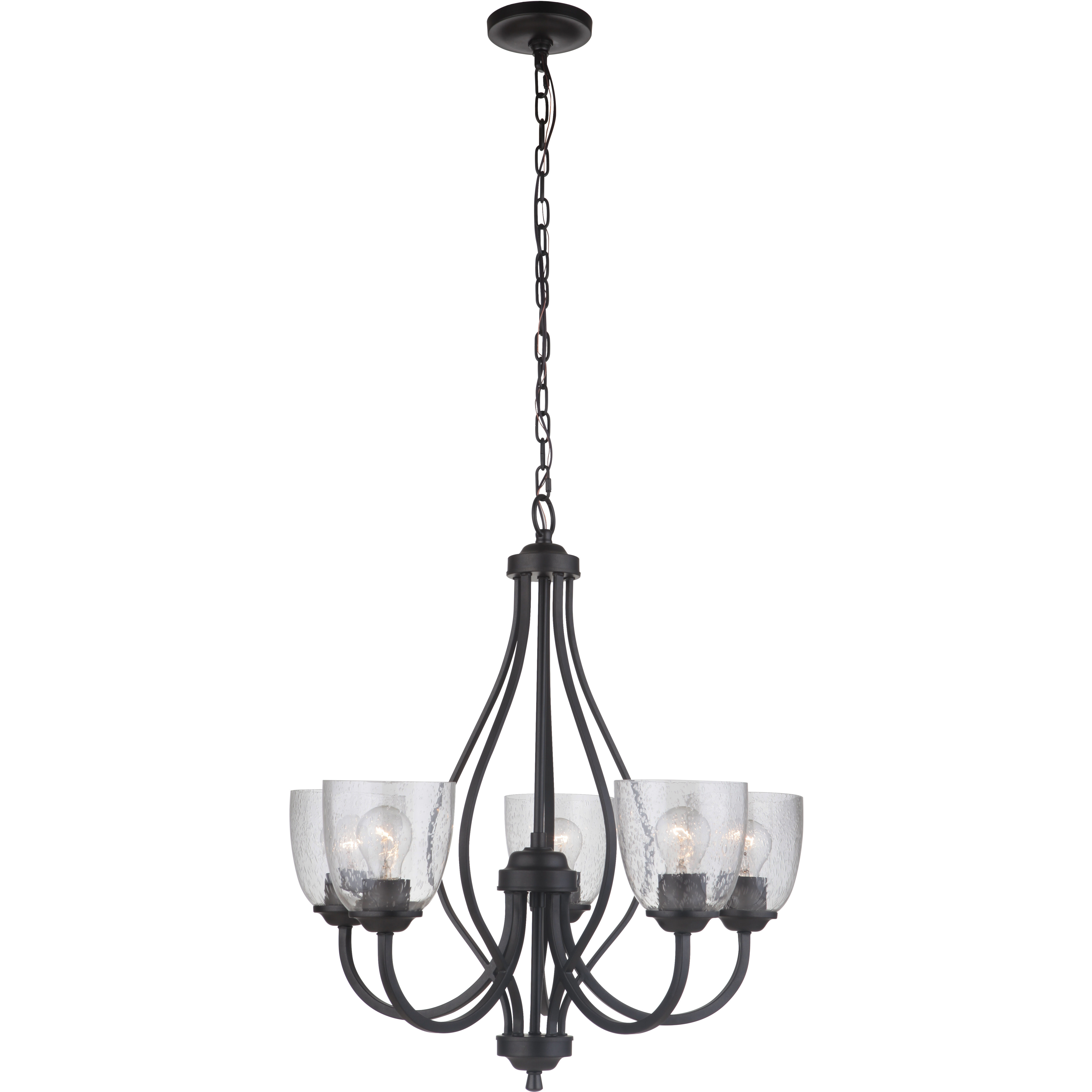 Neighborhood Serene 5 Light 25 inch Espresso Chandelier Ceiling Light in Clear Seeded, Neighborhood Collection