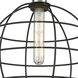 Lake Placid 1 Light 12 inch Satin Nickel Pendant Ceiling Light