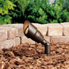 Independence 12 50.00 watt Textured Architectural Bronze Landscape 12V Accent in Incandescent