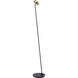 Canada 63 inch 11 watt Black & Stain Brass Floor Lamp Portable Light