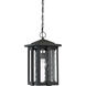 Everglade 1 Light 10.5 inch Earth Black Outdoor Hanging Lantern
