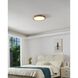 Argyle LED 16 inch Champagne Gold Flush Mount Ceiling Light