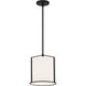 Carlyn 1 Light 10 inch Black Mini Pendant Ceiling Light
