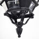 Central Park 3 Light 7 inch Textured Black Outdoor Hanging Lantern