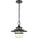 Renninger 1 Light 11 inch Oil Rubbed Bronze Outdoor Pendant