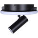 Denver Black Track Lighting Ceiling Light