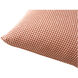 Ria 22 X 22 inch Desert Pink Pillow