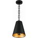 Alston 2 Light 10 inch Matte Black and Antique Gold Mini Pendant Ceiling Light