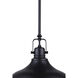 Madison LED 12 inch Black Pendant Ceiling Light