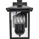 Jamesport 11 inch Matte Black Outdoor Wall Lantern, Small