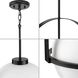 Delayne 1 Light 16.12 inch Matte Black Pendant Ceiling Light