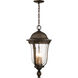 Havenwood 3 Light 9.5 inch Tavira Bronze And Alder Silver Outdoor Hanging Light, The Great Outdoors