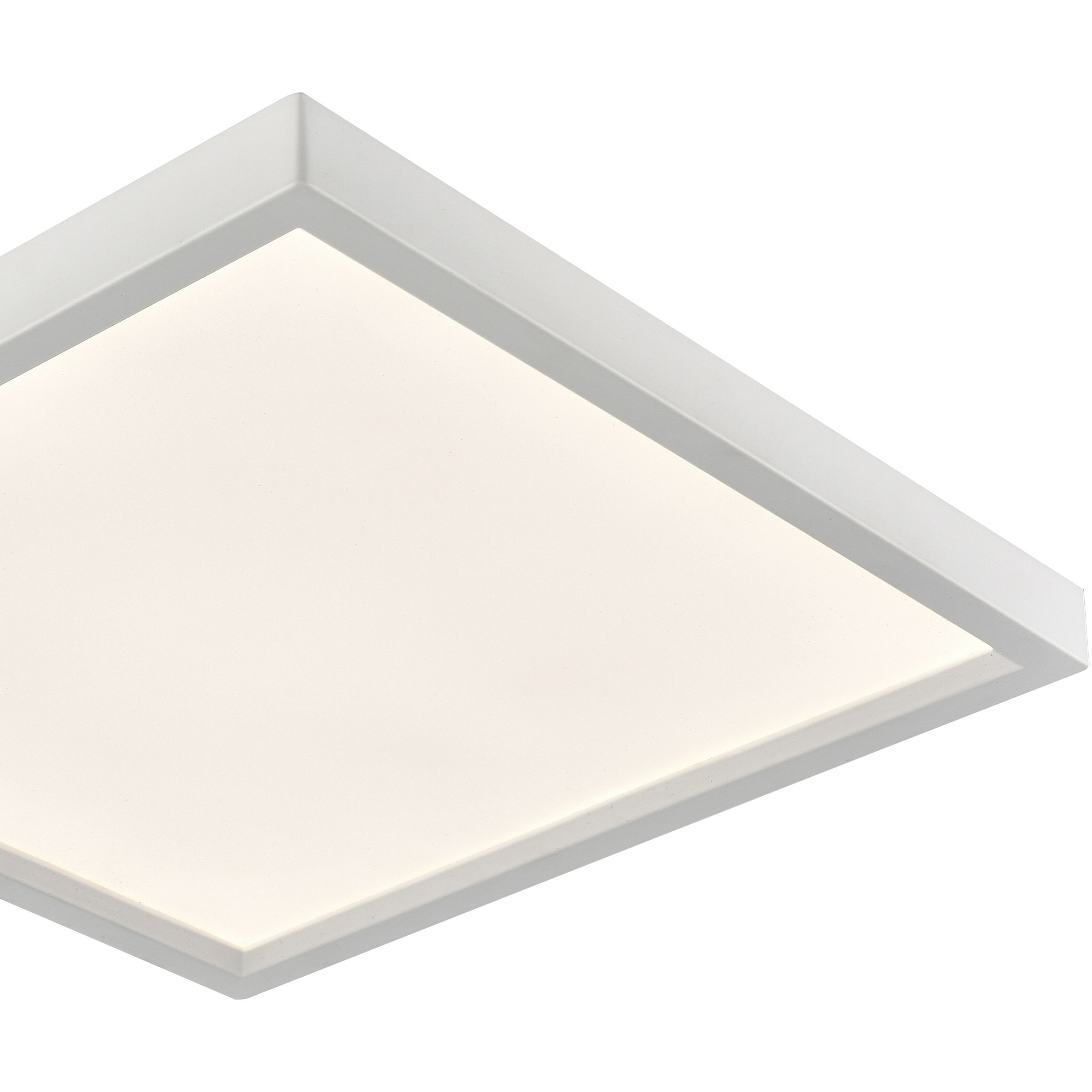 Titan Integrated LED White Down Light