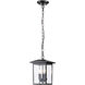 Jamesport 8 inch Matte Black Outdoor Hanging Lantern