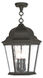 Hamilton 3 Light 13 inch Textured Black Outdoor Pendant Lantern