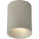 Kos LED 4.72 inch Matte Concrete Coastal Downlight