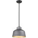 Barnes 1 Light 12 inch Gray Exterior Convertible Pendant