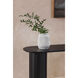 Povera 54 X 16 inch Black Console Table