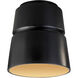Radiance Collection 1 Light 7.5 inch Carbon Matte Black/Champagne Gold Flush-Mount Ceiling Light