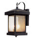 Santa Cruz 2 Light 14 inch Weathered Bronze Outdoor Wall Lantern