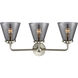 Nouveau Small Cone LED 24 inch Brushed Satin Nickel Bath Vanity Light Wall Light in Plated Smoke Glass, Nouveau